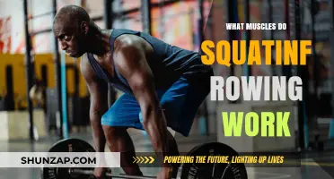 Squatting and Rowing: Muscles Targeted for Strength and Endurance