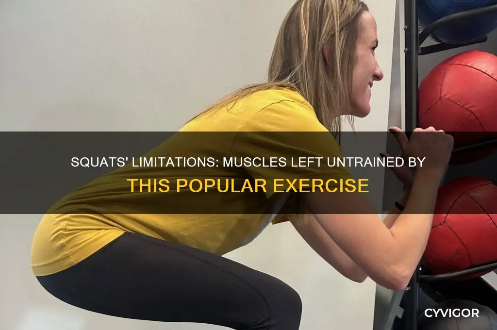 what muscles do squats not work