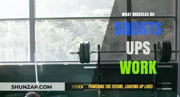 Squats and Push-Ups: Target Muscles and Full-Body Benefits Explained