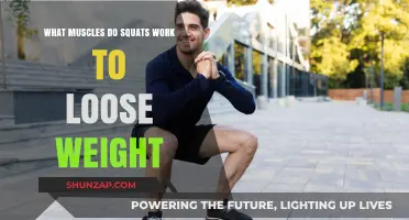 Squats for Weight Loss: Target Muscles and Burn Calories Fast