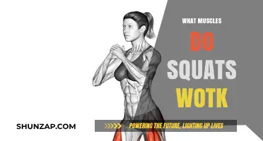 Squats: Building a Strong Foundation