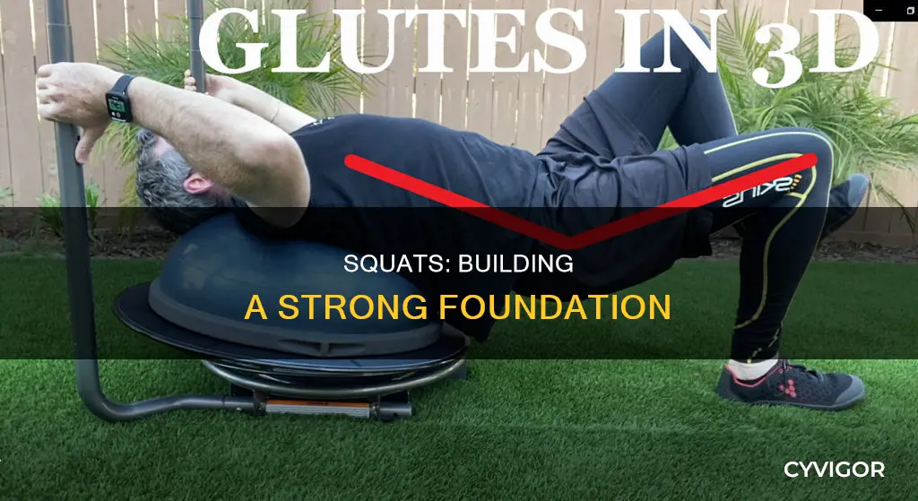 what muscles do squats wotk