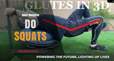 Squats: Targeting Your Leg and Core Muscles