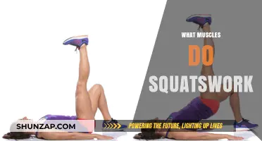 Squats: The Ultimate Lower Body Muscle Builder