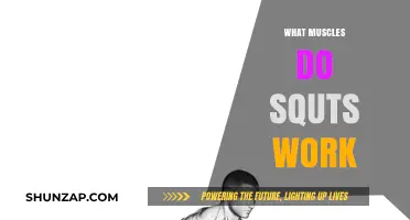 Squats: Target Muscles and Full-Body Benefits Explained