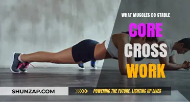 Stable Core Cross Work: Targeted Muscles for Strength and Stability