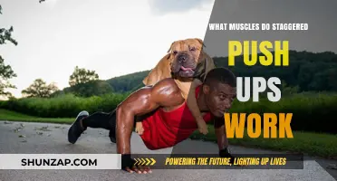 Staggered Push-Ups: Targeted Muscles and Benefits Explained