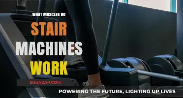 Stair Machines: Target Muscles and Benefits for Lower Body Workouts