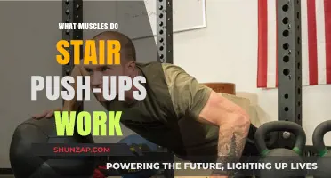Stair Push-Ups: Targeted Muscles and Benefits Explained