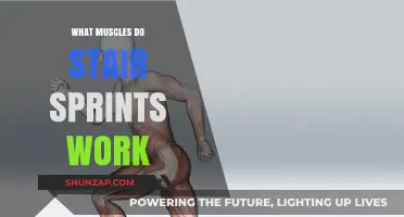 Stair Sprints: Target Muscles and Benefits for Explosive Fitness