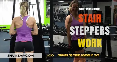 Stair Steppers: Target Muscles and Full-Body Benefits Explained