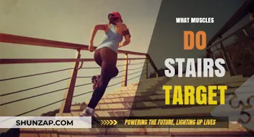 Climbing Stairs: Targeting Lower Body Muscles