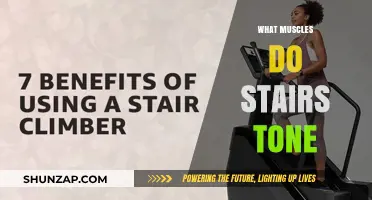 Stair Climbing: Toning Lower Body Muscles