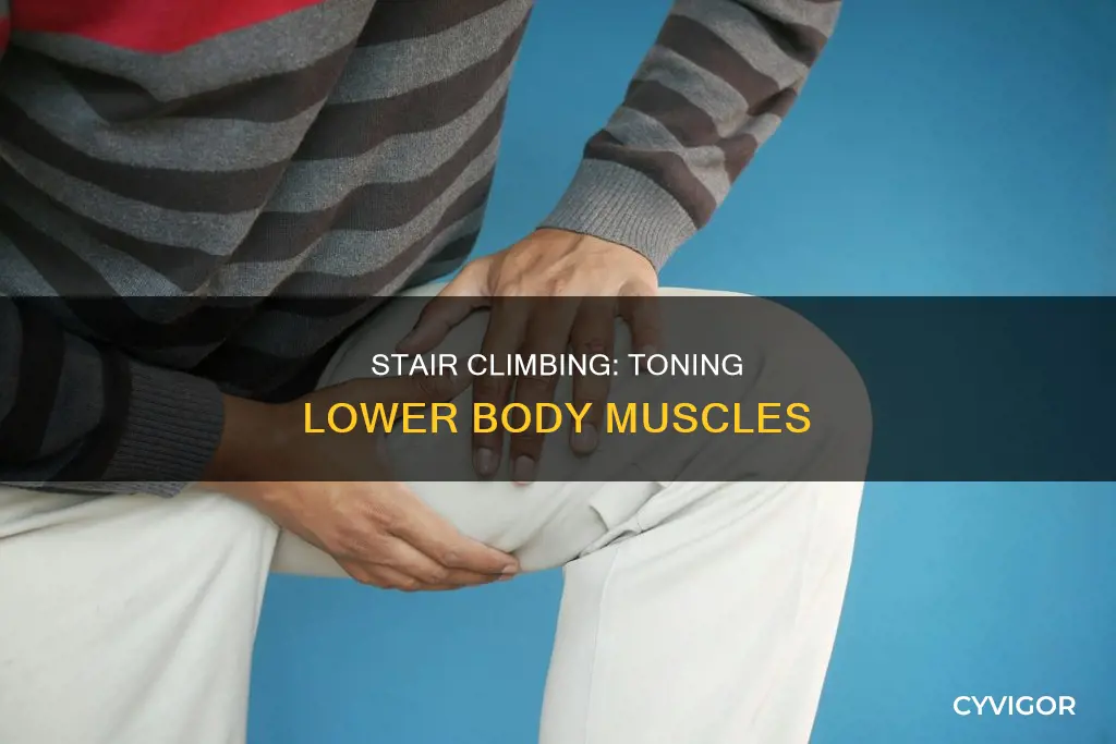 what muscles do stairs tone