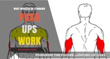 Push-Up Power: Muscles Targeted in Standard Push-Up Exercises