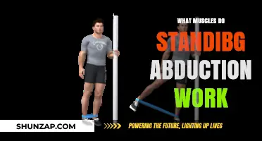Standing Abduction: Target Muscles and Benefits Explained