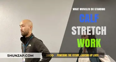Standing Calf Stretch: Targeted Muscles and Benefits Explained