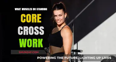 Standing Core Cross Work: Muscles Targeted and Benefits Explained