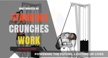 Standing Crunches: Targeted Muscles and Core Benefits Explained