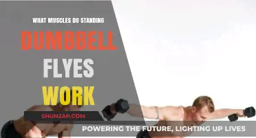 Standing Dumbbell Flyes: Targeted Muscles and Workout Benefits Explained