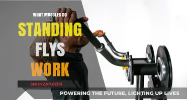Standing Flys: Targeted Muscles and Benefits for Upper Body Strength