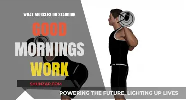 Standing Good Mornings: Targeted Muscles and Benefits Explained