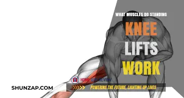 Standing Knee Lifts: Targeted Muscles and Core Strength Benefits