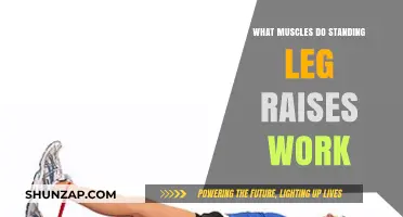 Standing Leg Raises: Targeted Muscles and Benefits Explained