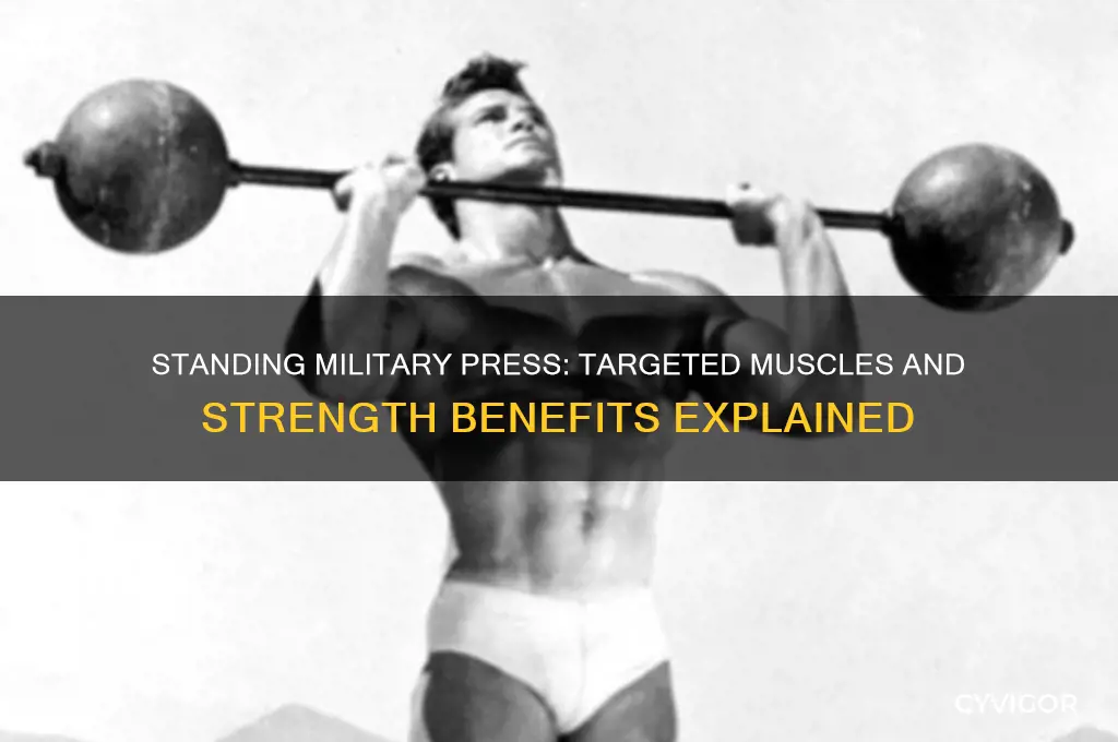 what muscles do standing military press work