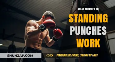Standing Punches: Target Muscles and Benefits for Strength Training