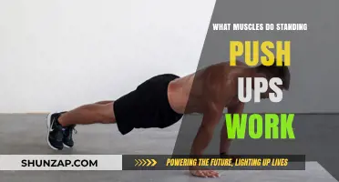 Standing Push-Ups: Targeted Muscles and Full-Body Benefits Explained