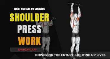 Standing Shoulder Press: Target Muscles and Benefits Explained