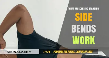 Standing Side Bends: Targeting Core, Obliques, and Spinal Muscles
