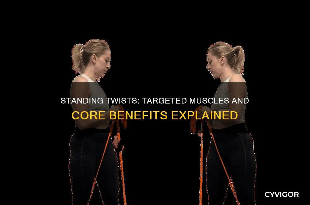what muscles do standing twists work