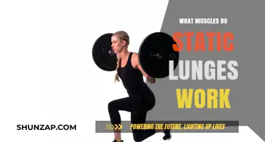 Static Lunges: Target Muscles and Benefits for Lower Body Strength
