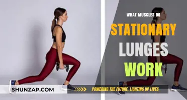 Stationary Lunges: Target Muscles and Benefits for Lower Body Strength