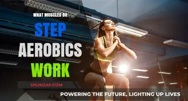 Step Aerobics Muscles: Targeted Toning and Cardio Benefits Explained