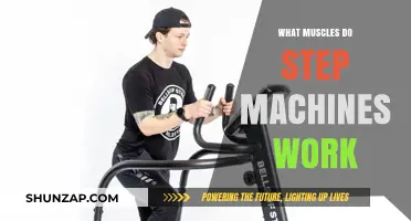 Step Machines: Targeting Muscles for Lower Body Strength and Tone