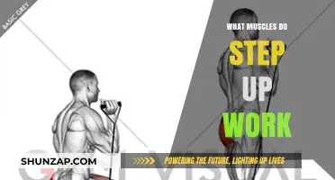 Step Up Workout: Target Muscles and Benefits Explained
