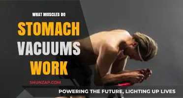 Stomach Vacuums: Targeted Muscles and Core Strengthening Benefits Explained