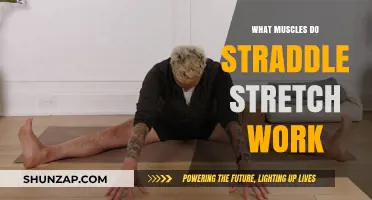 Straddle Stretch Benefits: Targeted Muscles and Flexibility Explained
