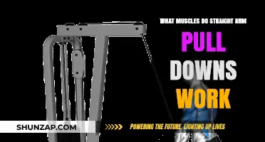 Straight Arm Pull Downs: Targeted Muscles and Workout Benefits Explained