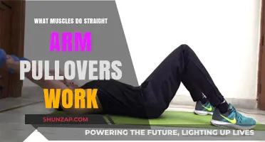 Straight Arm Pullovers: Targeted Muscles and Benefits Explained