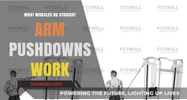 Straight Arm Pushdowns: Targeted Muscles and Benefits Explained
