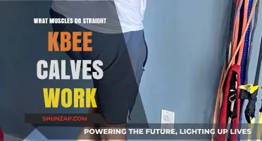 Straight Knee Calf Raises: Targeted Muscles and Benefits Explained