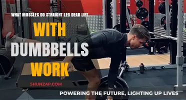 Targeted Muscles in Dumbbell Straight Leg Deadlifts: A Comprehensive Guide