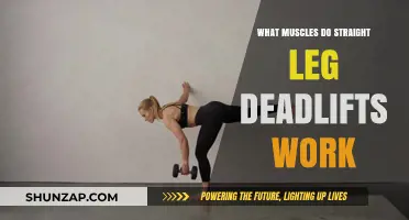 Straight Leg Deadlifts: Target Muscles and Benefits Explained
