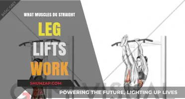 Straight Leg Lifts: Targeted Muscles and Benefits Explained