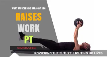 Straight Leg Raises: Target Muscles and PT Benefits Explained