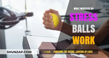Stress Balls: Unlocking Forearm, Wrist, and Hand Muscle Strength Benefits